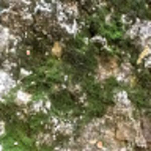 Meet your Posher, Al